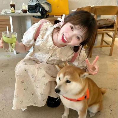 哈菲兹封面